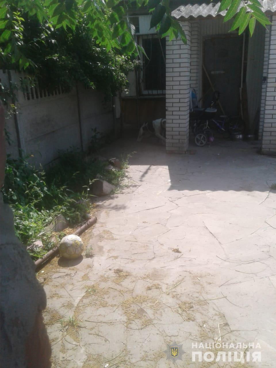 Перепрыгнул забор: под Киевом бойцовский пес набросился на пенсионерку (фото)